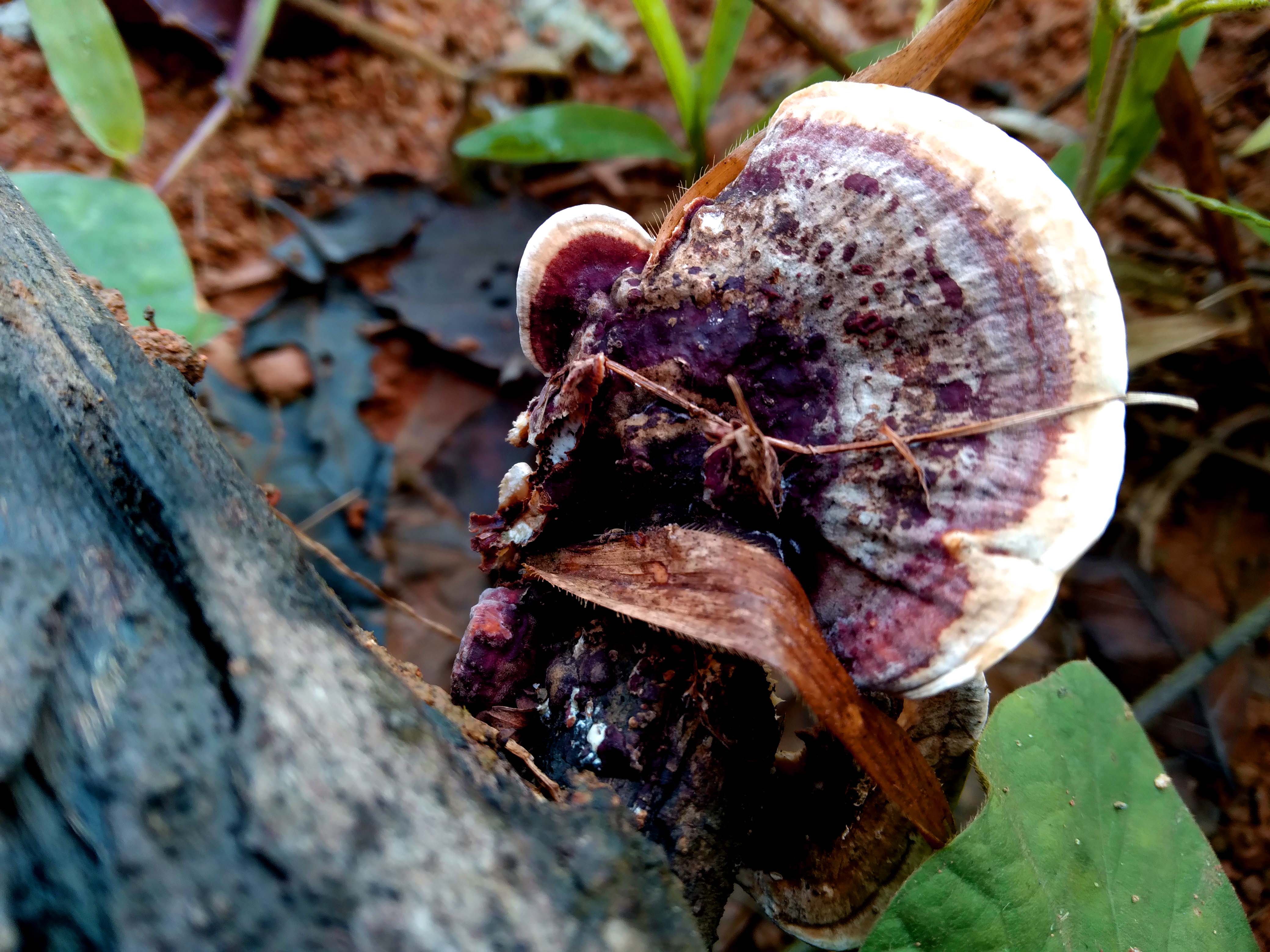 20220101_095129[1].jpg